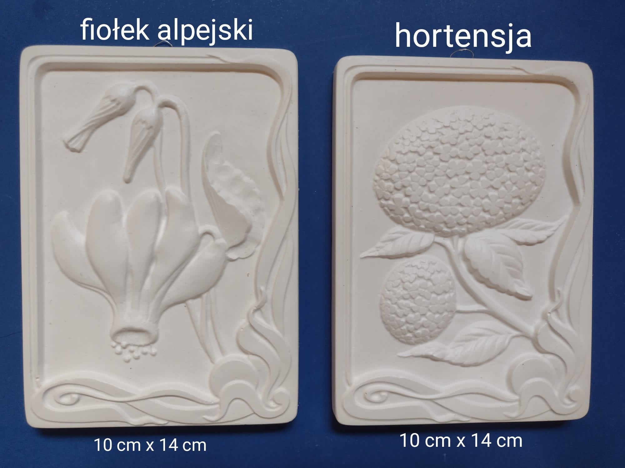 Gipsowe OBRAZKI kwiaty: fiołek alpejski i hortensja