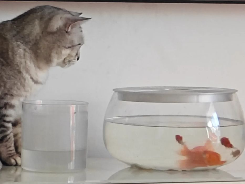 Tampa para Aquário Redonda 23cm Anti-Salto e Anti-Gato