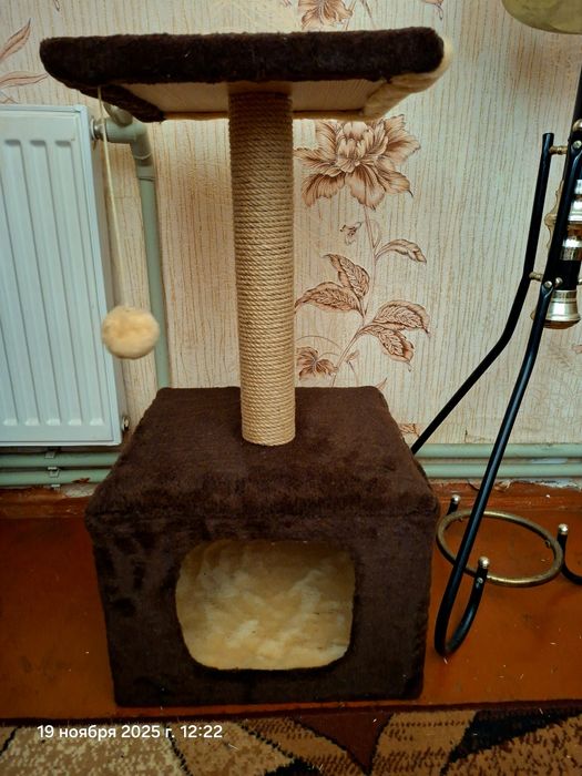 Домик-когтеточка для кошечки новый