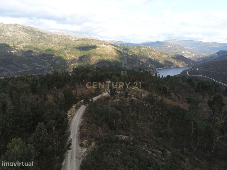 Quinta com 23.000m² à Venda no Gerês para Construção de Moradia ou Pro