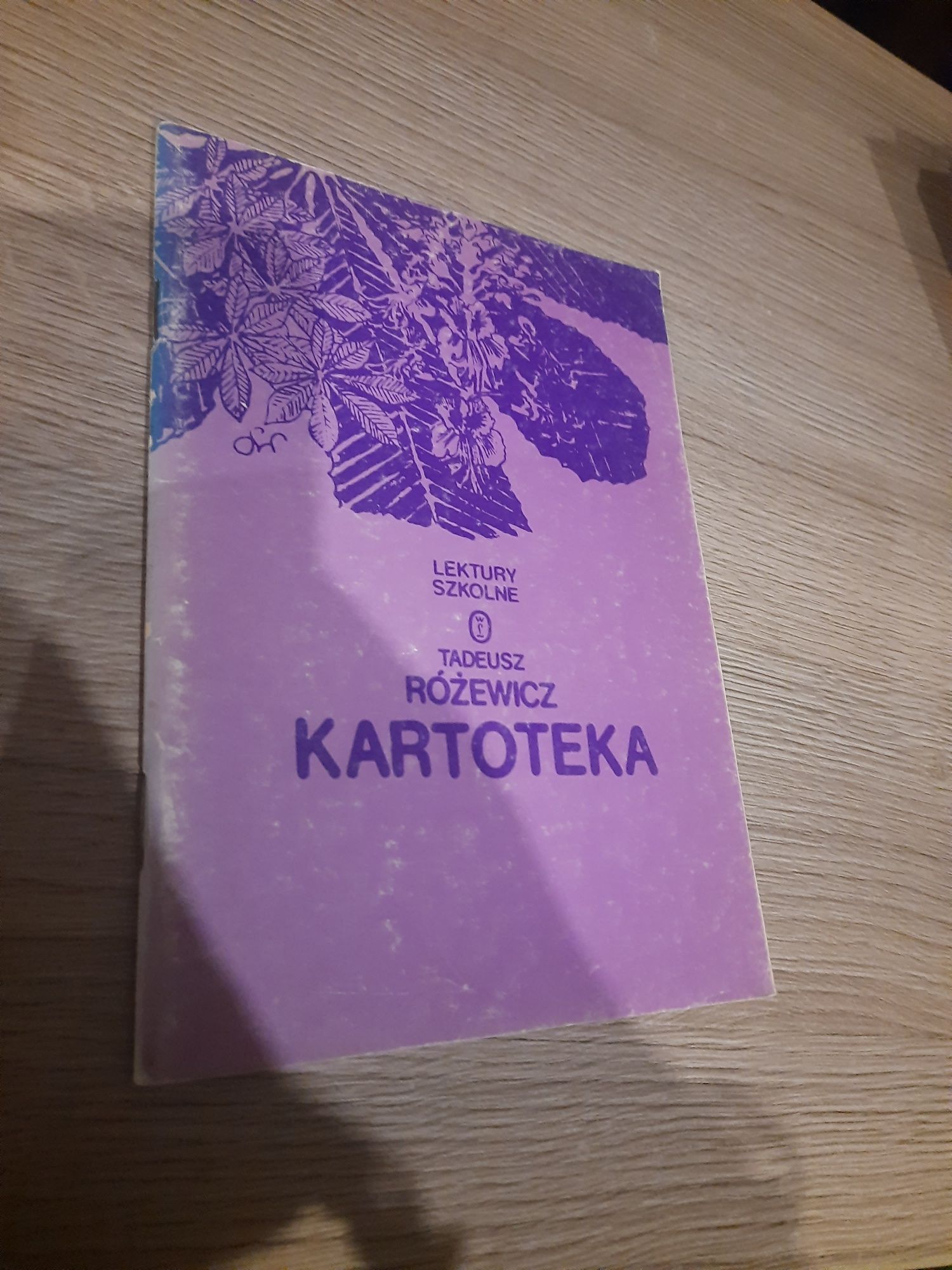 Tadeusz Rózewicz - Kartoteka