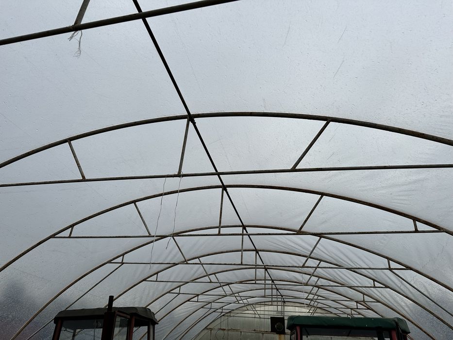Tunel foliowy 7x12m