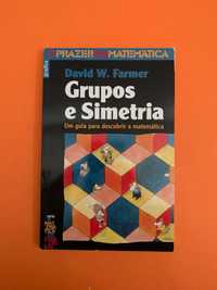 Grupos e Simetria: Um guia para descobrir a matemática - D. W. Farmer