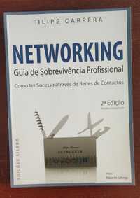 Networking - Guia de Sobrevivência Profissional