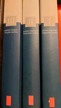 Trzy słowniki polsko-angielskie angielsko-polski niemiecki i rosyjski