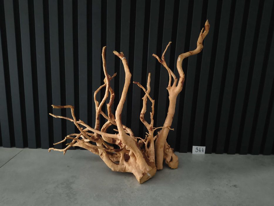 korzeń Red Moor Wood 344 PREMIUM Japoński akwarium terrarium 44x42x21