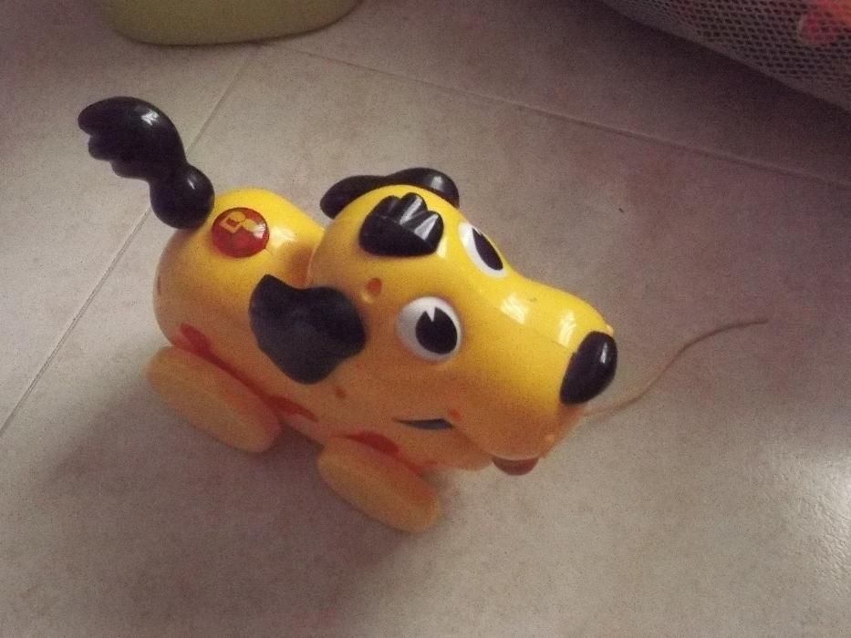 Cão com som