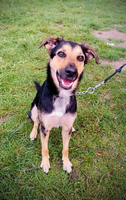 SPAJKY do adopcji