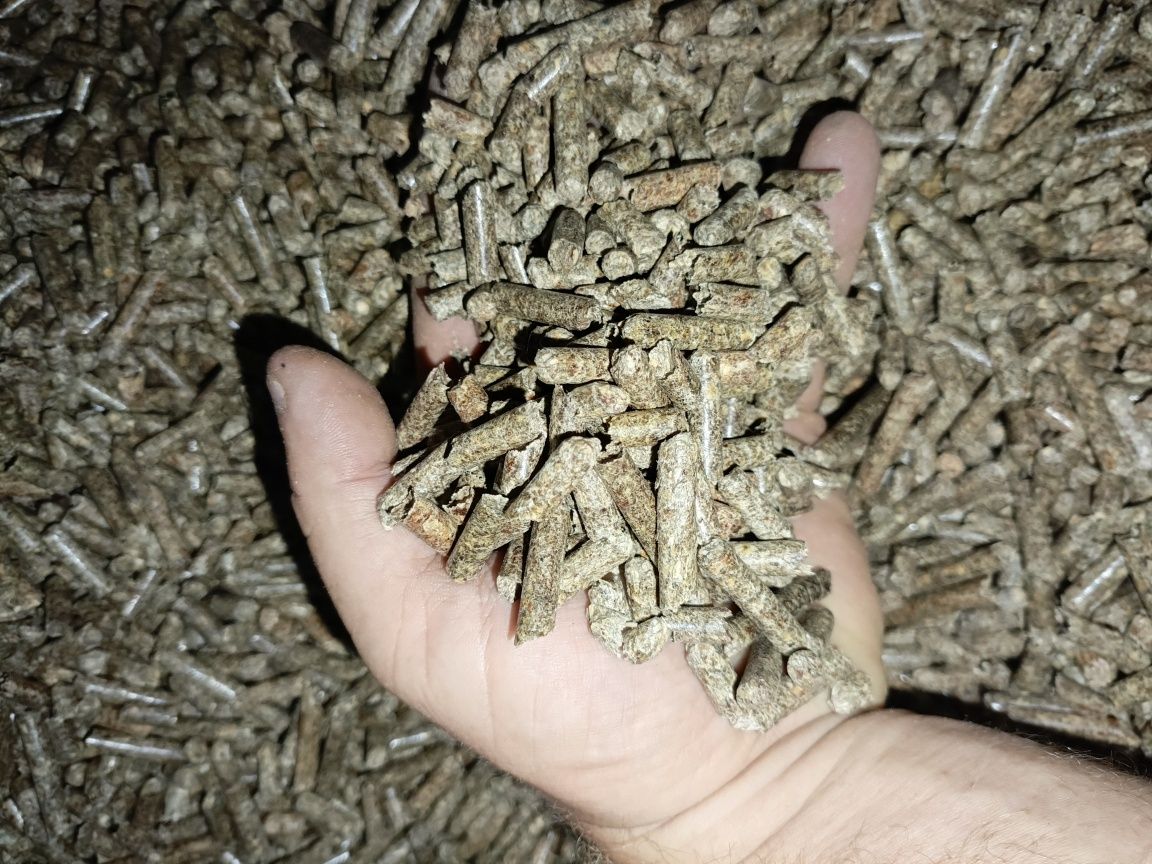 Pelet pellet Sosna Buk Dąb Gorlice Limanowa producent