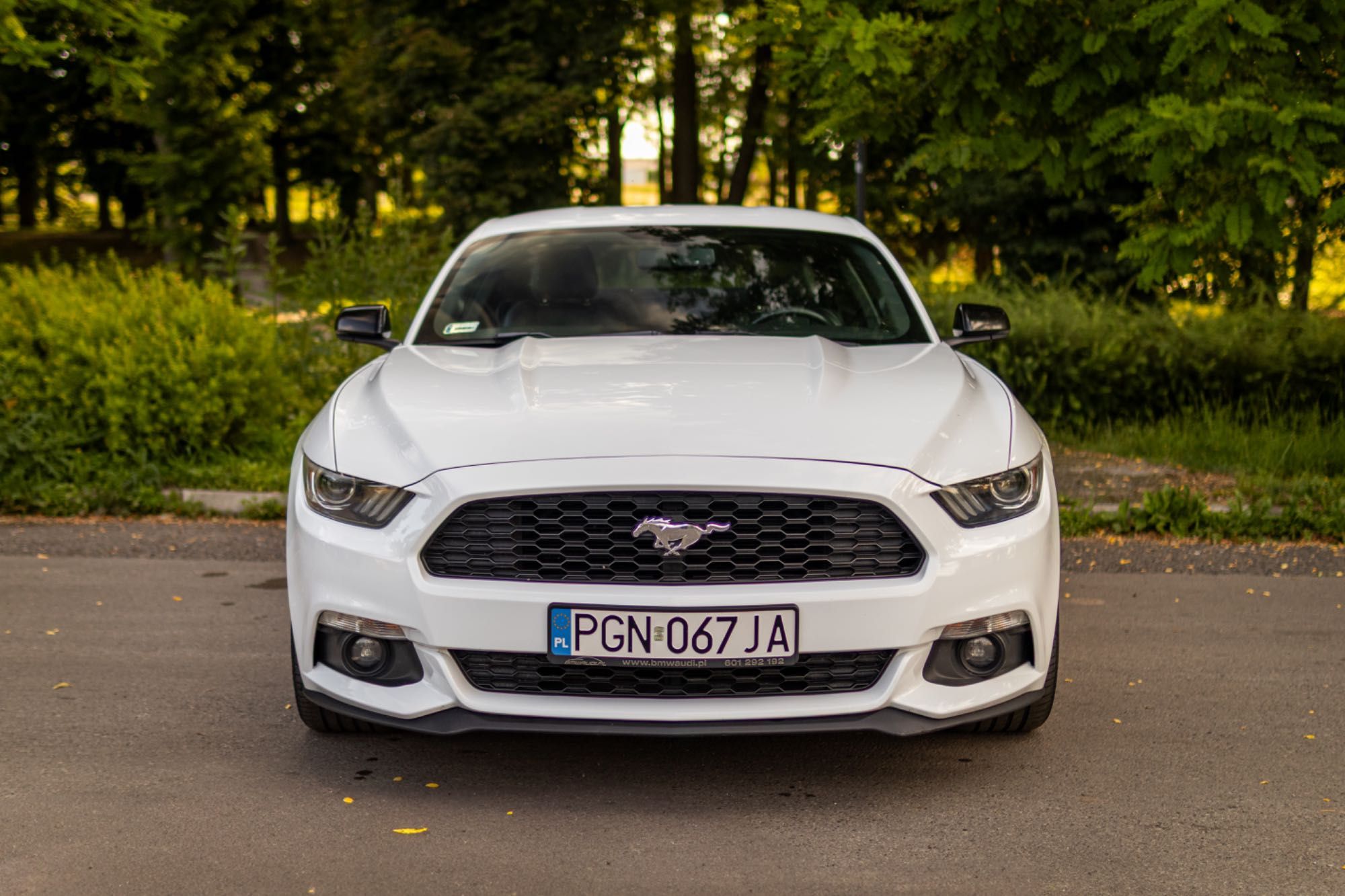 Ford Mustang Coupe 317KM zadbany w idealnym stanie carplay wentyle