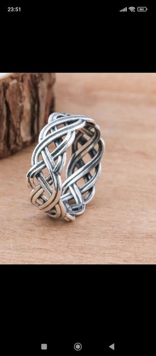 Sygnet męski gniazdo 2023/2024.  n40