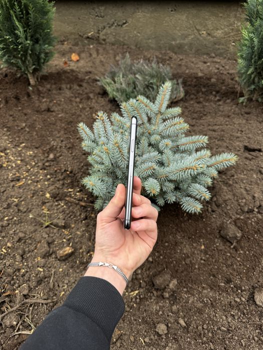 Iphone 11 pro max 64 gb olx доставка