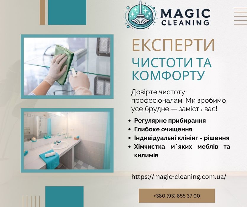 Професійне прибирання + хімчистка