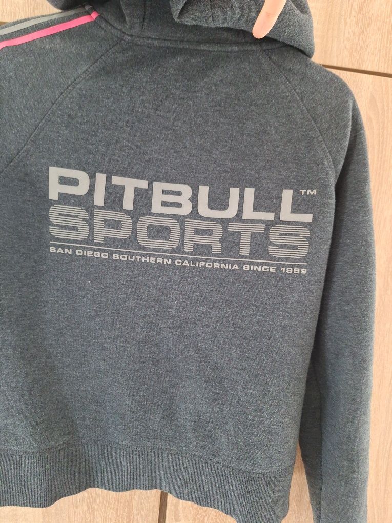 Bluza damska pitbull