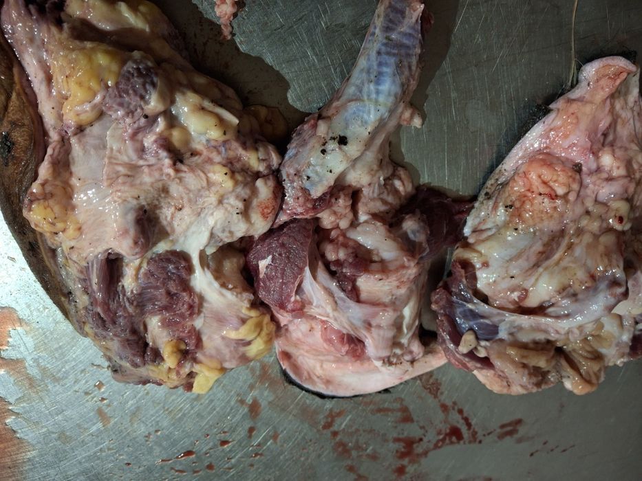 Корм фарш для собак