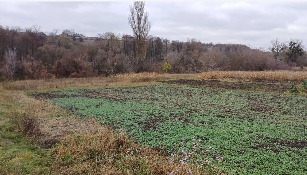Продаж 25 соток з виходом до річки Південний Буг