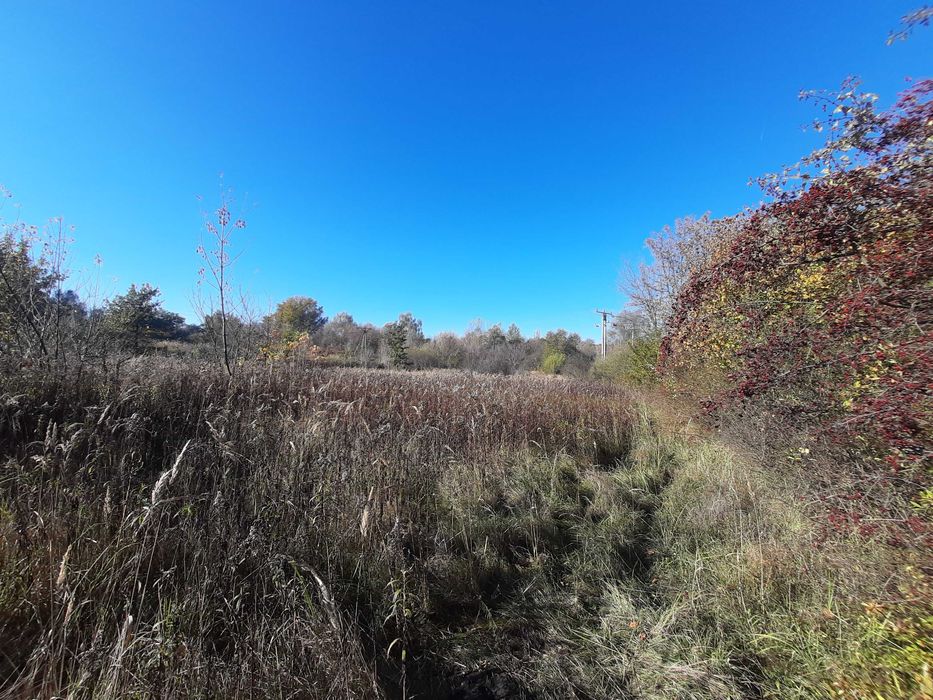 Działka 66 a z czego 50 a to budowlana. Strzemieszyce Wielkie Dąbrowa