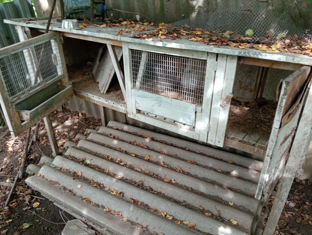 Клітки для кролів