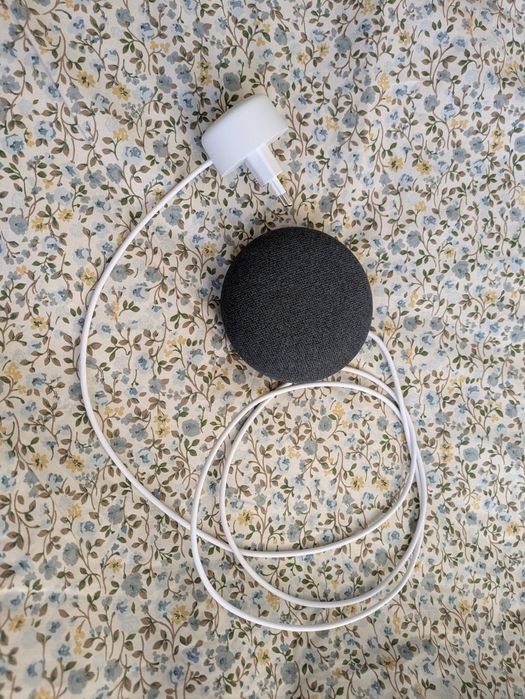 Google Nest Mini 2 US BDB