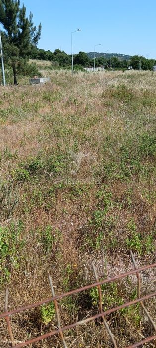 lote para construção