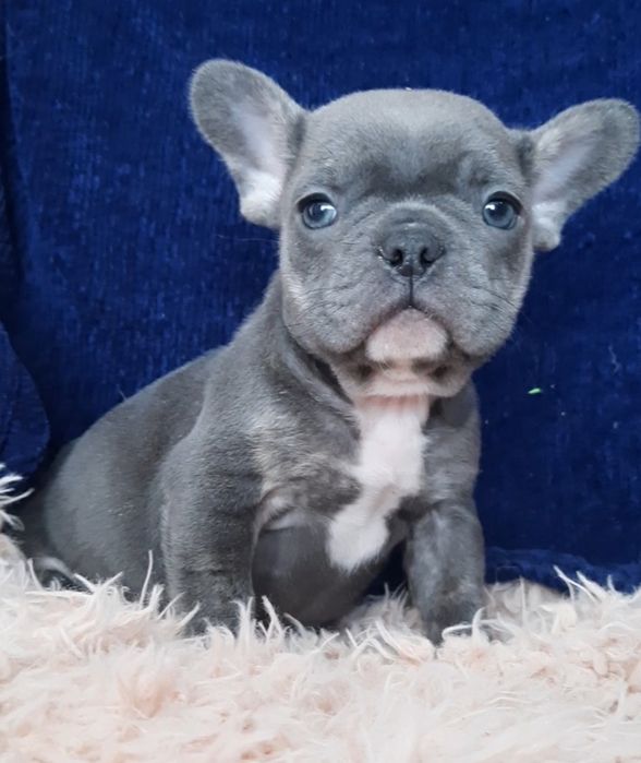 Прекрасний хлопчина