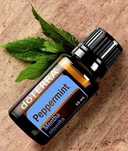 doTERRA Peppermint 15 ml + Prezent! | Oryginalny olejek