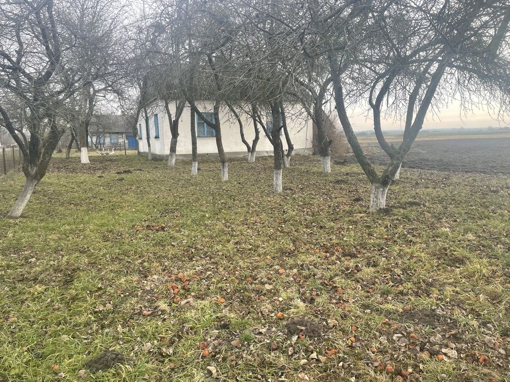 Продається будинок в с. Мокрець, Волинська обл, Ковельський район.