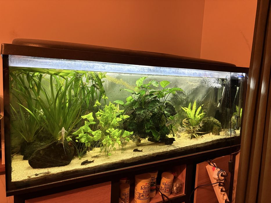 Akwarium 360 litrow