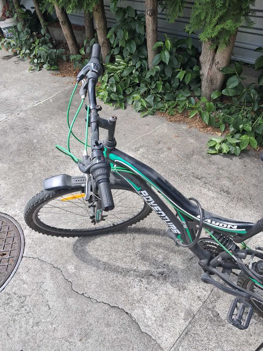 Rower Rayon Adventure.