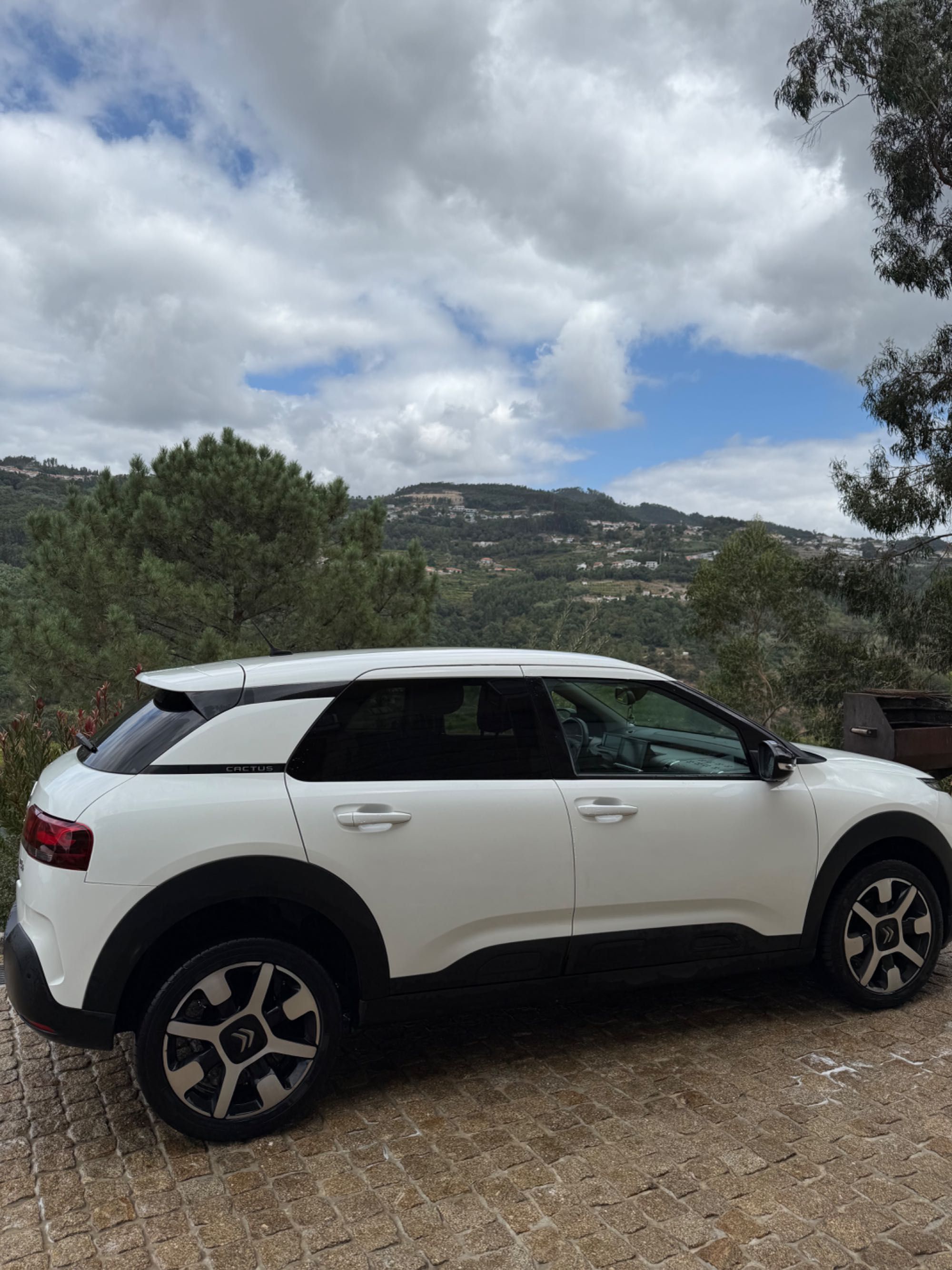 Citroen C4 cactus