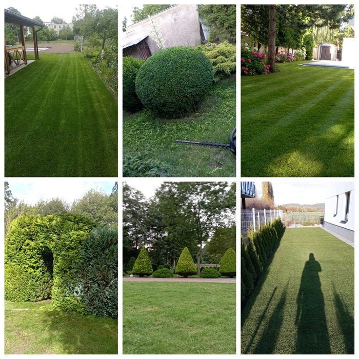 Wypożyczalnia sprzętu ogrodniczego i usługi ogrodnicze