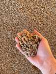Pellet drzewny BIG-BAG