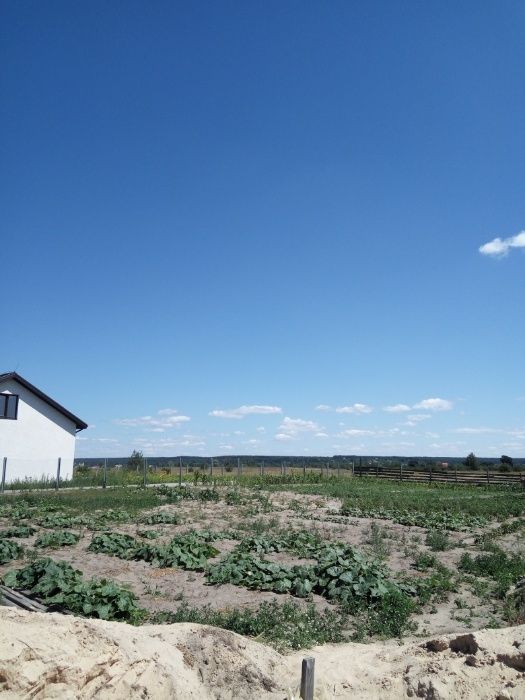 Синяк продам 12 соток під забудову біля лісу