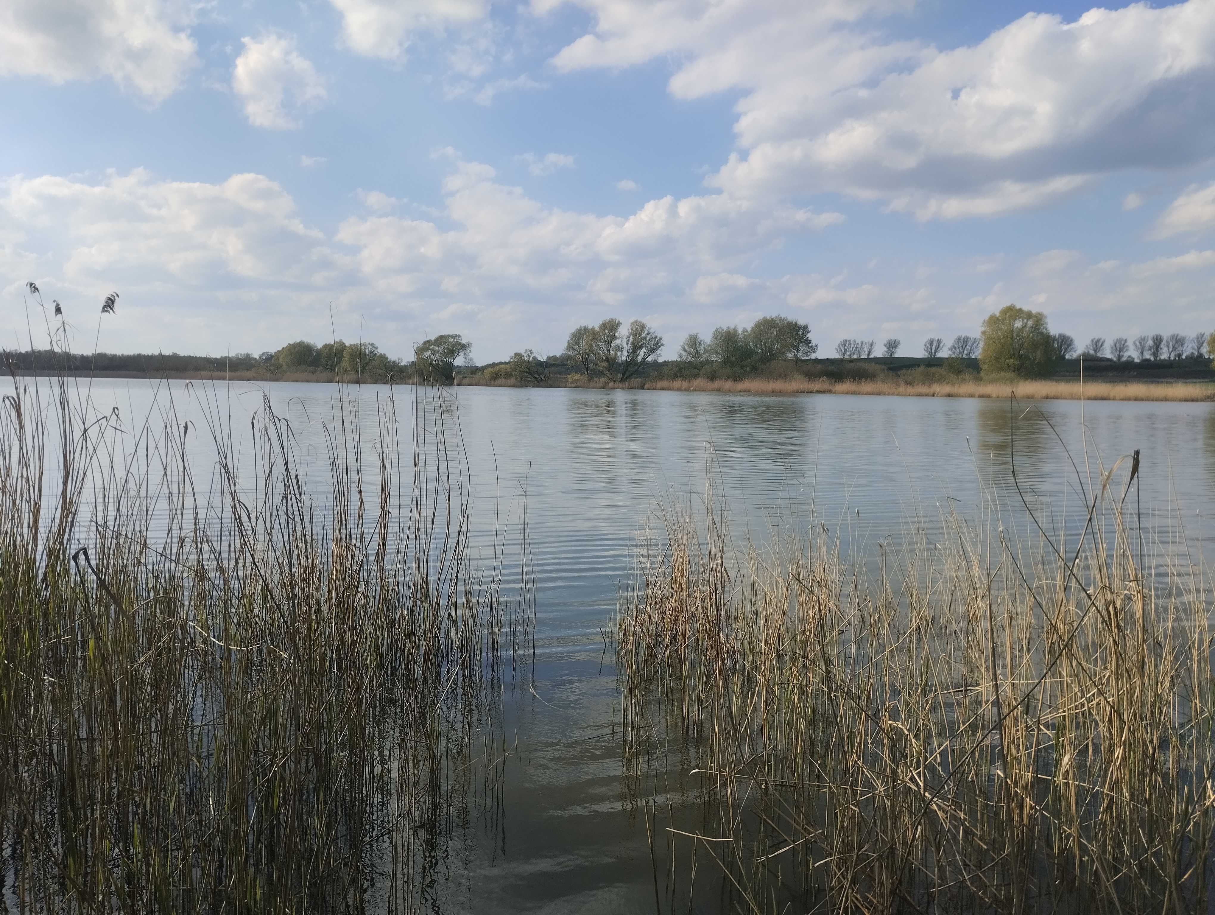 Działka z bezpośrednim dostępem do linii brzegowej jeziora Żernickiego
