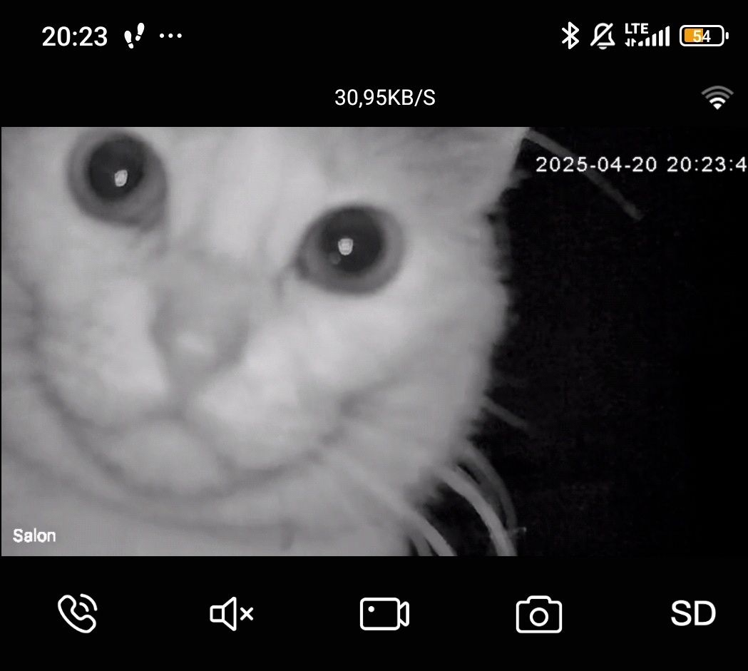 Kamera z ekranem dla dzieci, psów, kotów