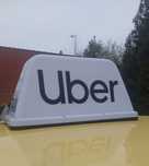 Kogut taxi, magnes