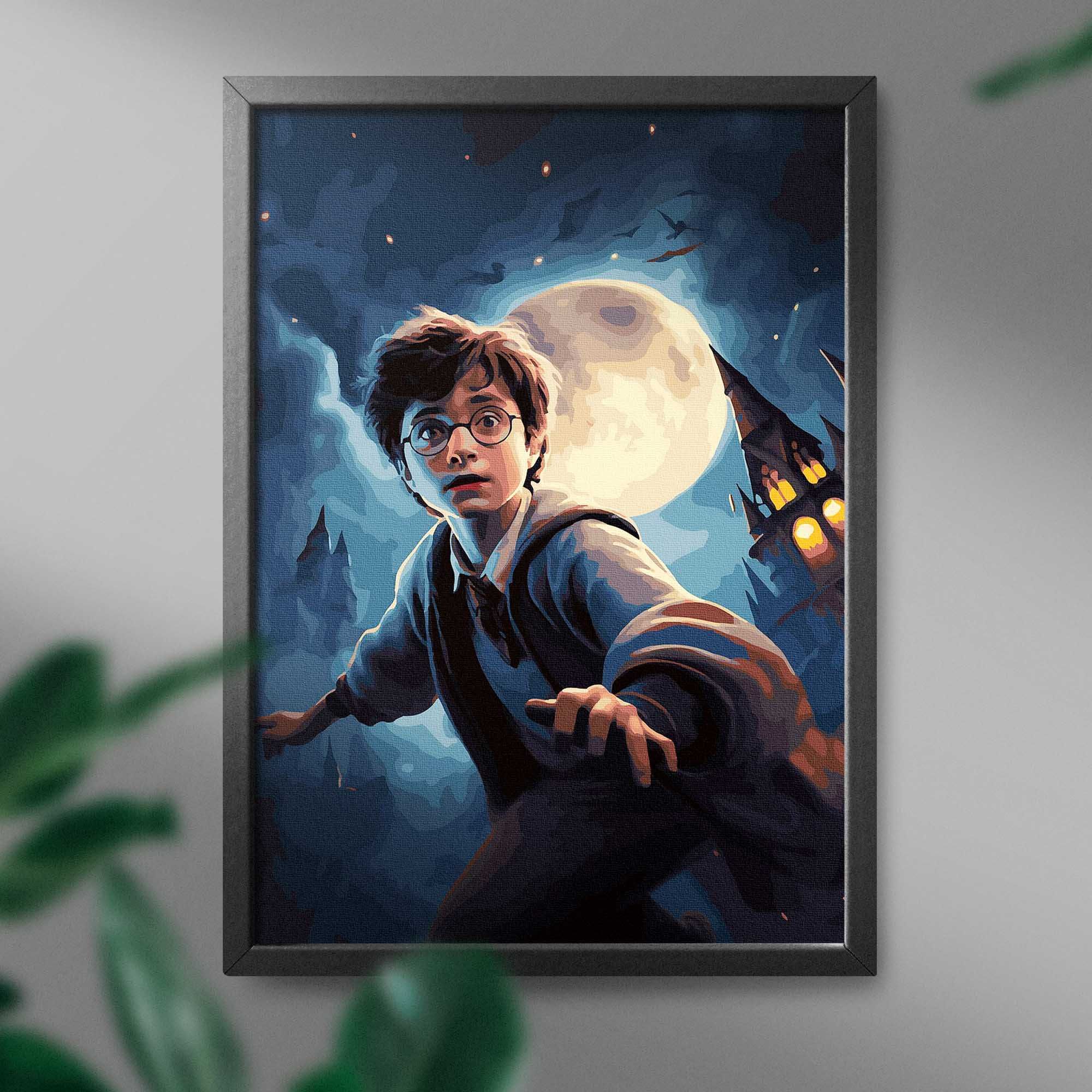 Malowanie po numerach, 40x50 cm - Harry Potter i księżyc / Oh-Art