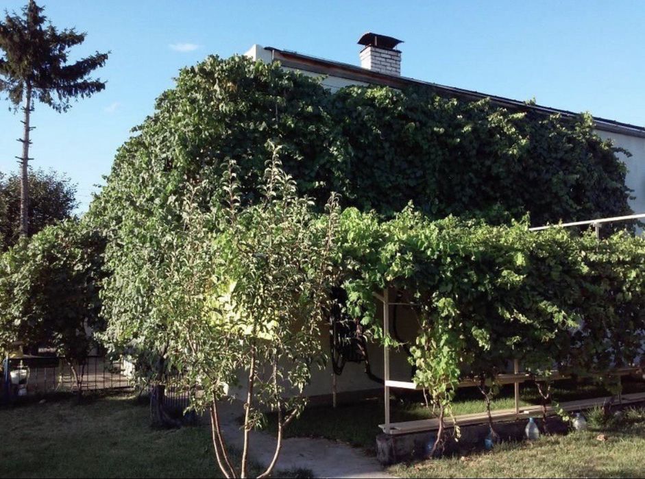 Продам будинок у м. Марганець