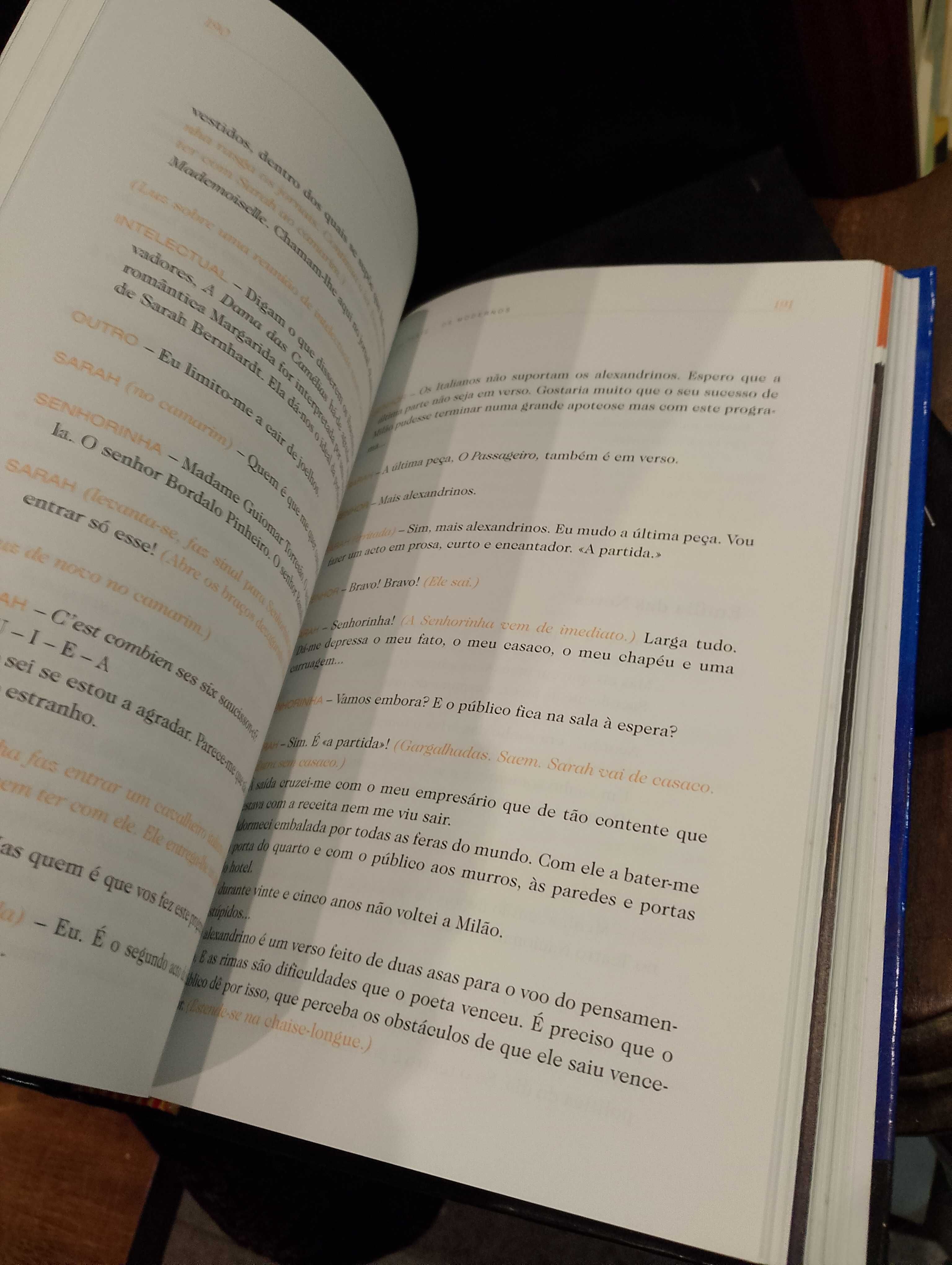 Ser e Não Ser - Espetáculo de Maria do Céu Guerra