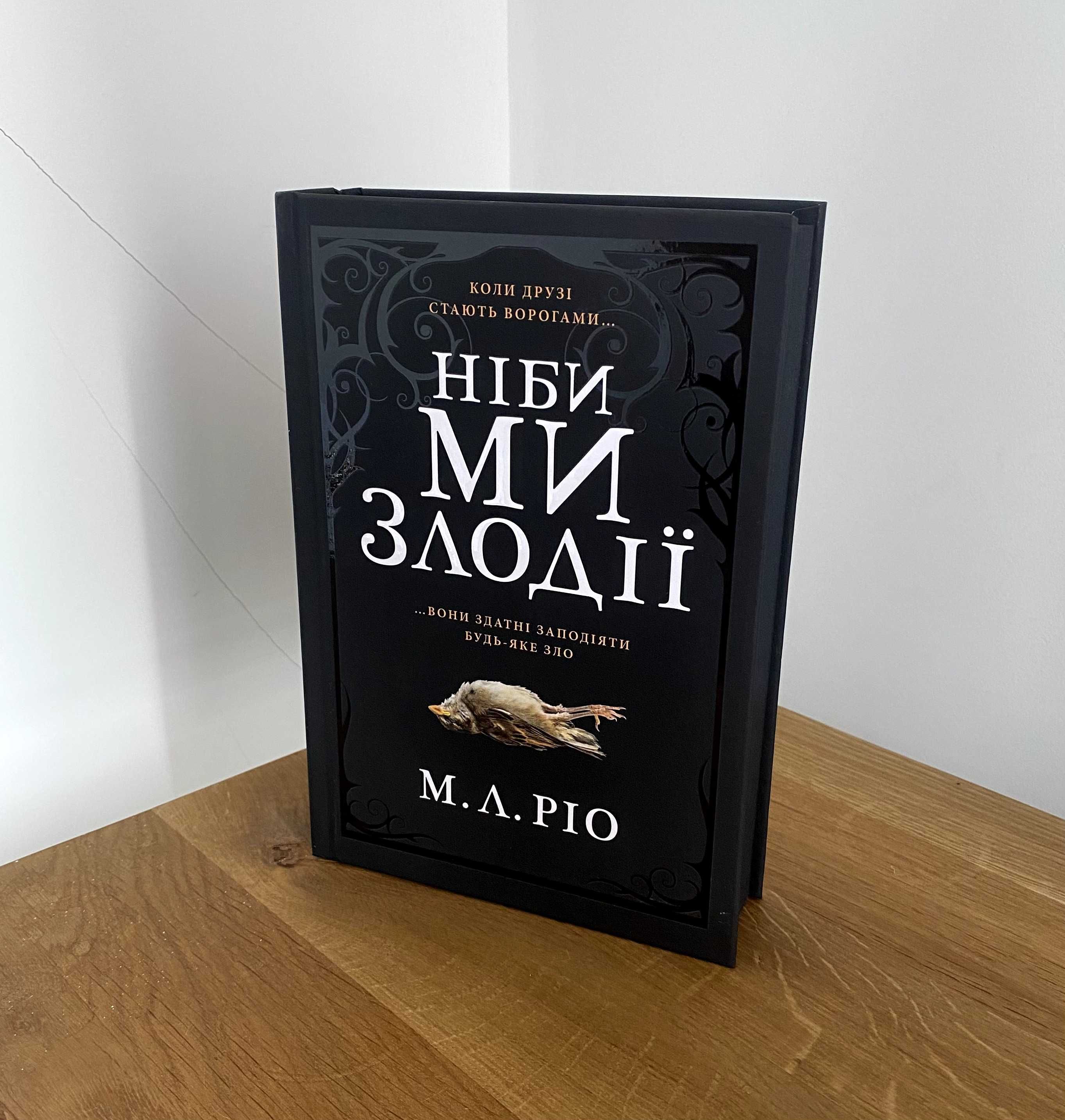 Книга Ніби ми злодії