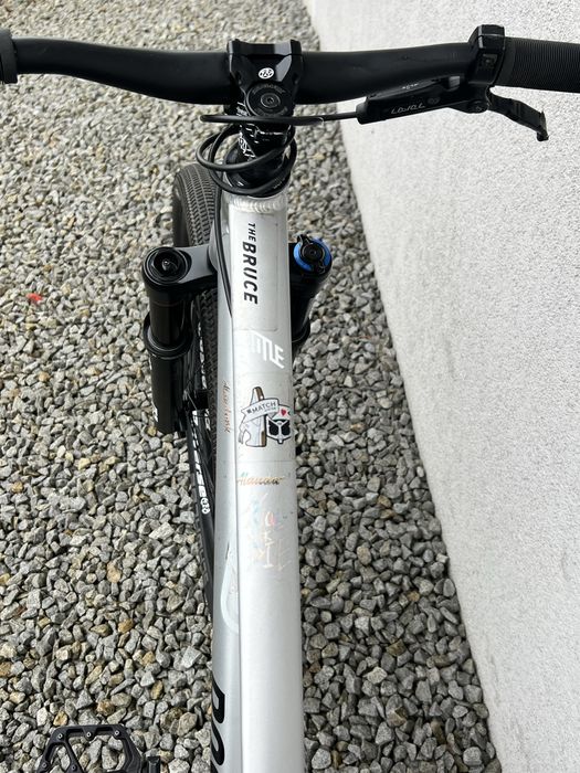 rose the bruce 2 alaudark  2024 rozmiar l srebrny