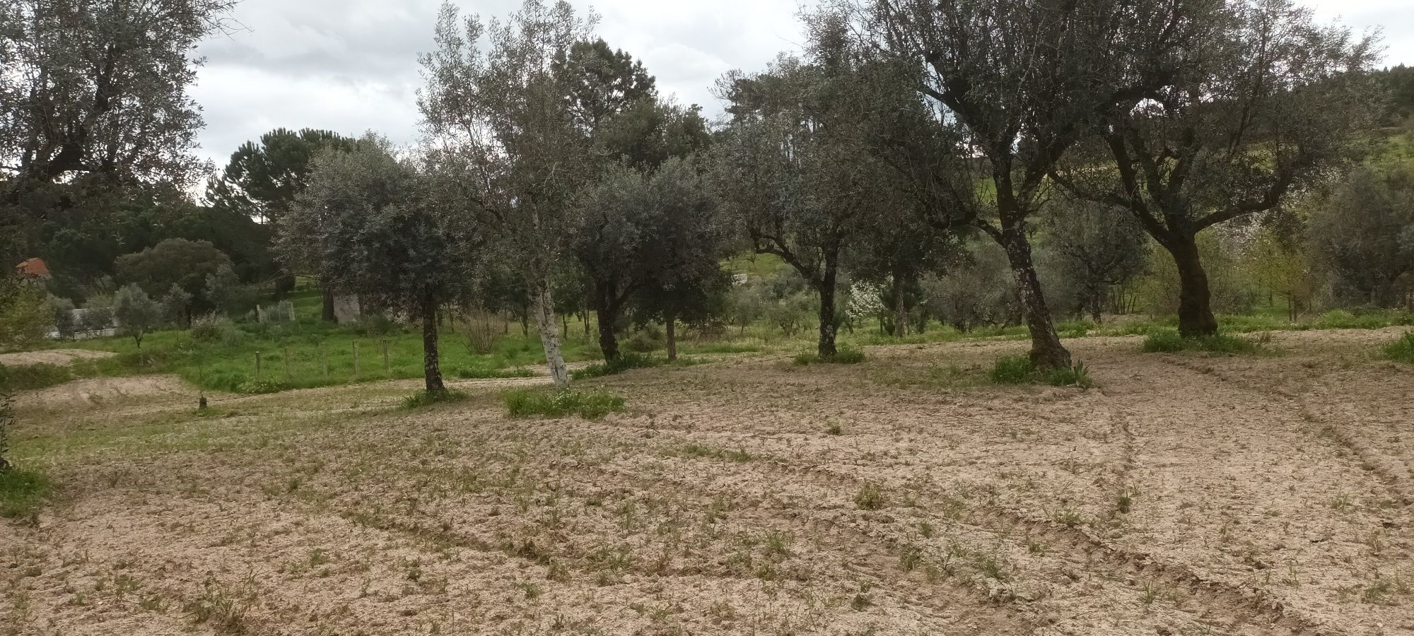 Terreno para venda
