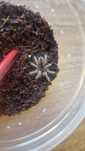Avicularia Minatrix L2