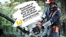 Piła/pilarka spalinowa, ukośnica, zagłębiarka, wyrzynarka - WYNAJEM