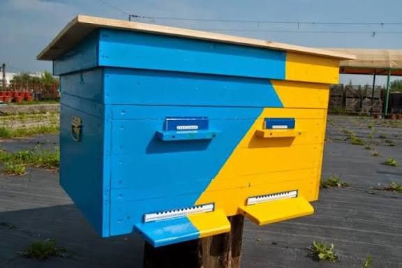 Бджолиний інвентар в дар.