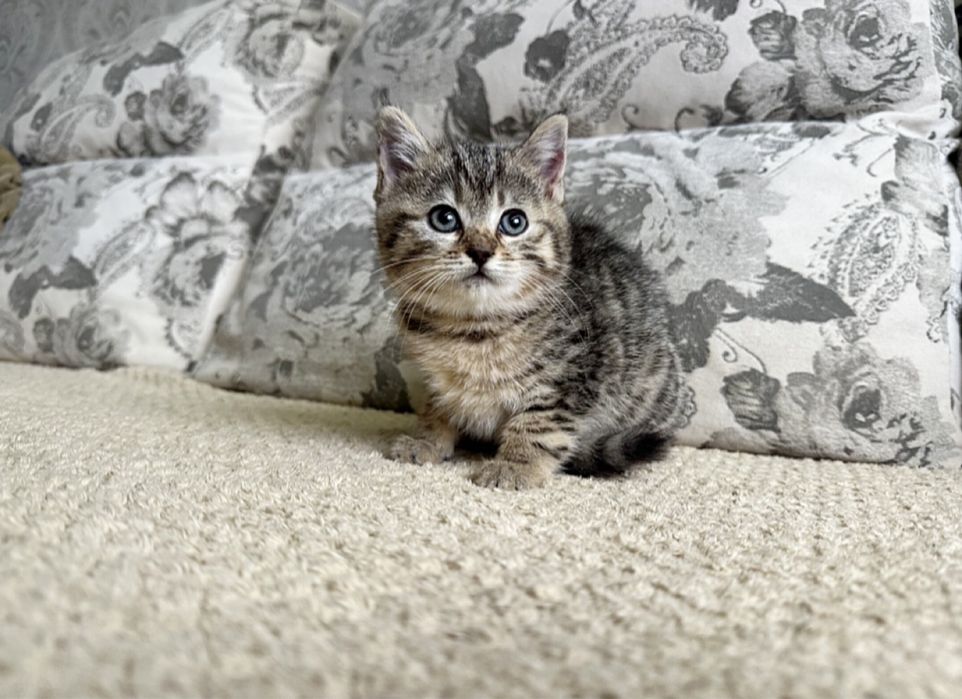 Красивее не найдете )