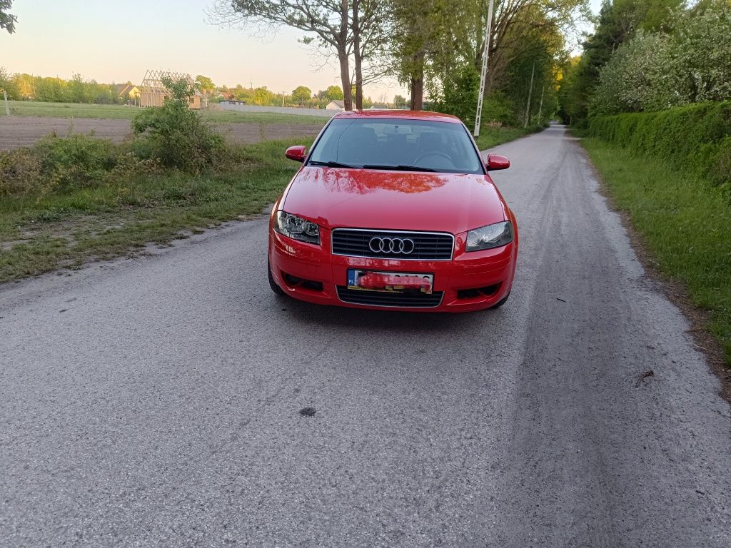 Audi A38P 1.6 MPI 2008r