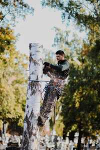 Wycinka i pielęgnacja drzew metodą alpinistyczną oraz frezowanie pni