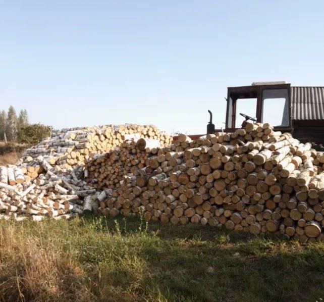 Дрова оптом та в роздріб, колоті та в колодах. (3-55 ск.м)