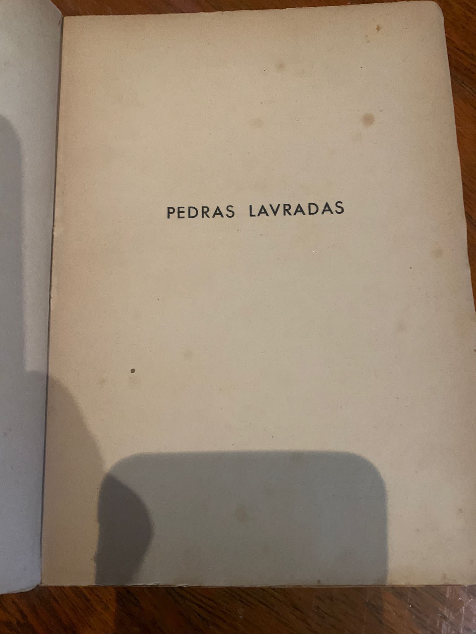 Livro pedras lavradas